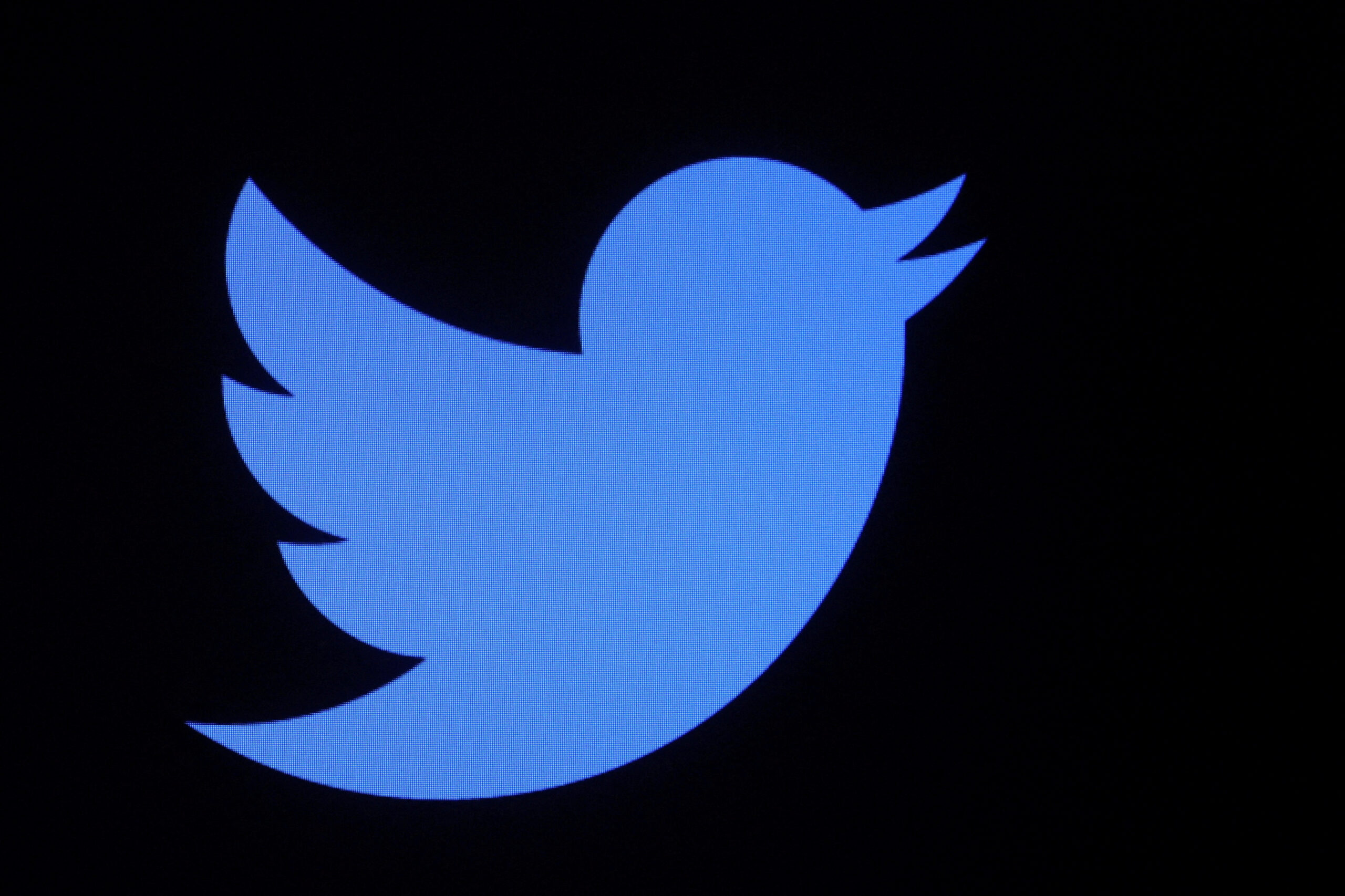 The Rise of the Twitter Viewer and How to Use It