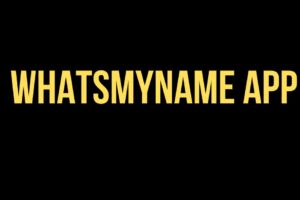 The Digital Guardian: How the WhatsMyName App is Filling a Critical Gap in Online Safety