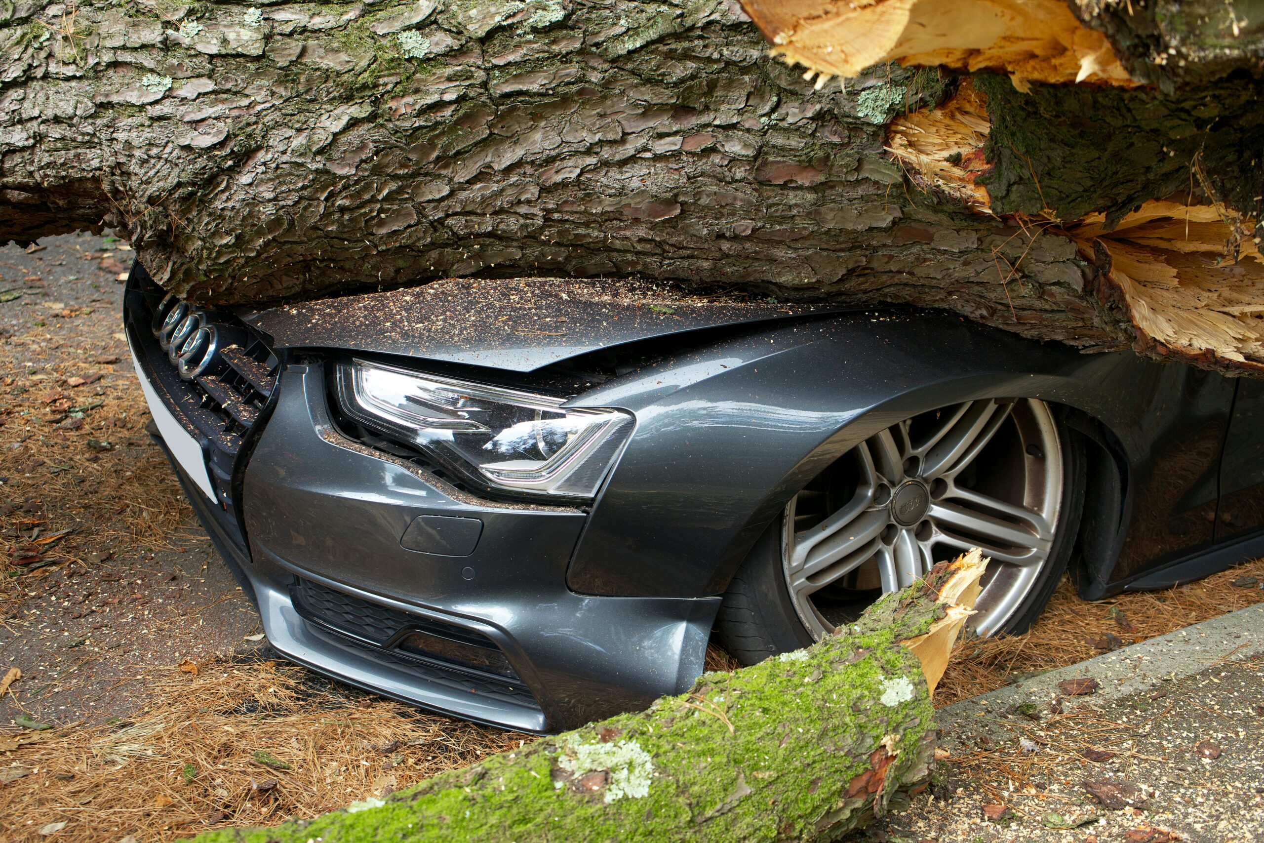 Amax Auto Insurance: Affordable Coverage with Local Expertise