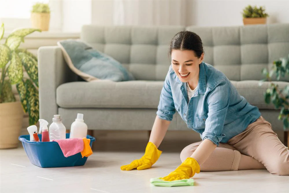 Cleaning: A Vital Aspect of Our Daily Lives