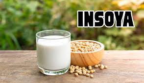 Insoya: Exploring the Versatility of Fermented Soybean Products